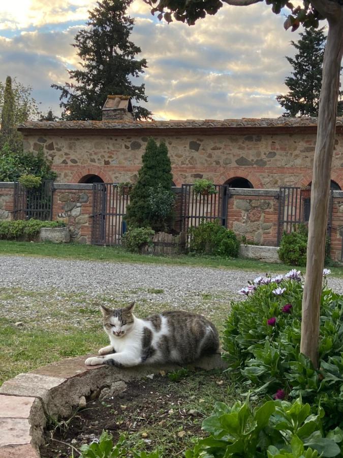 Agriturismo Il Pozzo Castiglione d'Orcia Luaran gambar