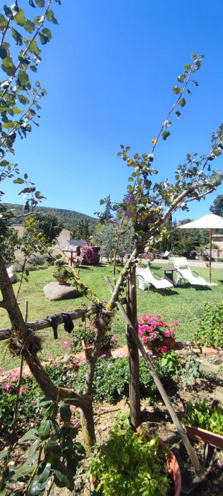Agriturismo Il Pozzo Castiglione d'Orcia Luaran gambar