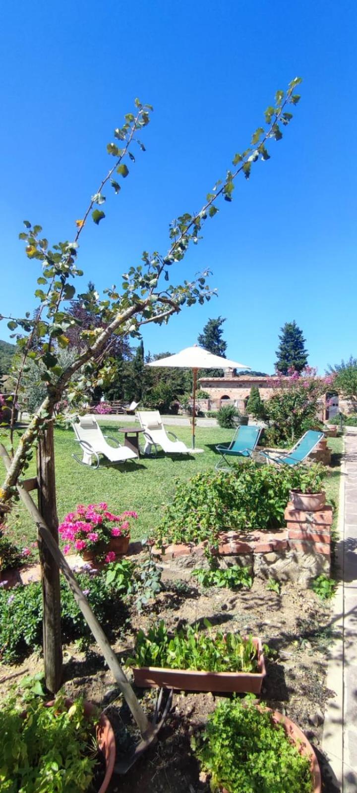 Agriturismo Il Pozzo Castiglione d'Orcia Luaran gambar